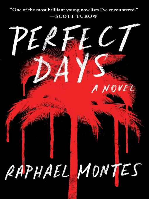 Title details for Perfect Days by Raphael Montes - Available